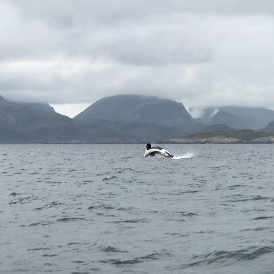Fishermans Rorbu 2 - Lofoten Ramberg Luaran gambar